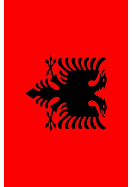 Arnavutluk Bayrağı (50x75 Cm)