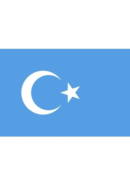 Doğu Türkistan Gönder Bayrağı (100x150 Cm) modelleri