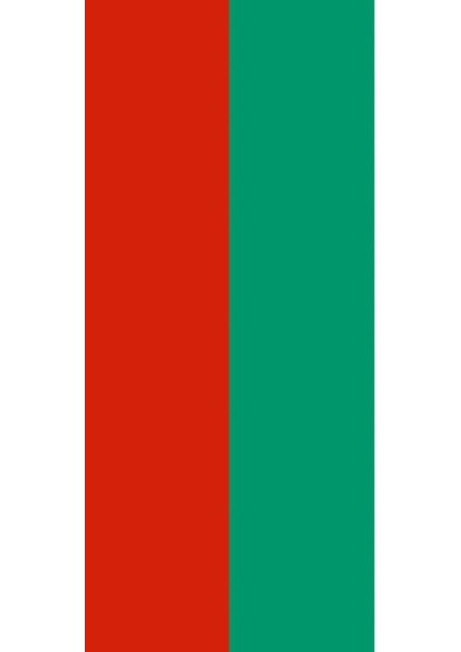 Bulgaristan Bayrağı (50x75 Cm) fiyatları