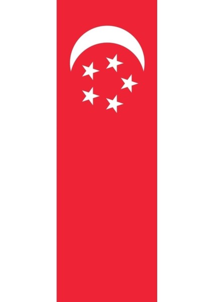 Singapur Gönder Bayrağı (100x150 Cm)