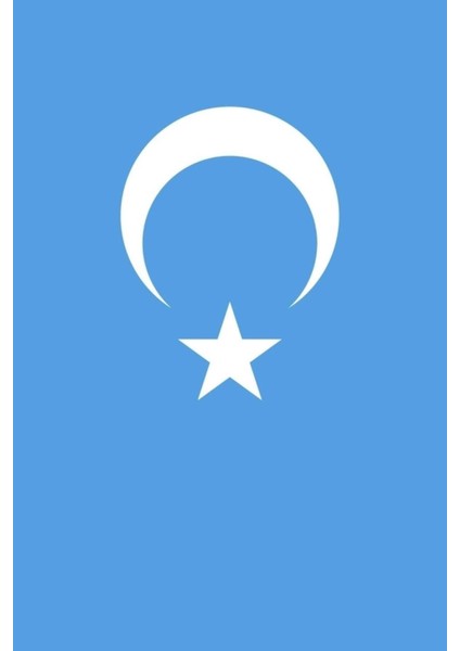 Doğu Türkistan Gönder Bayrağı (70x105 Cm) fırsatları