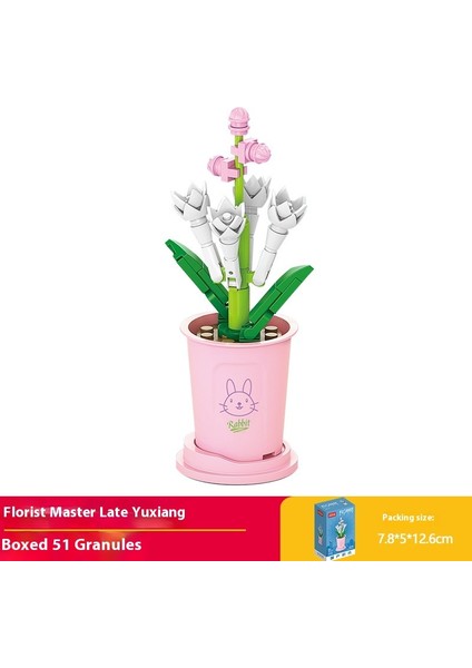 Küçük Parçacıklar Yapı Taşları Buket Puzzle Montaj Oyuncakları Hediyeler (Yurt Dışından)