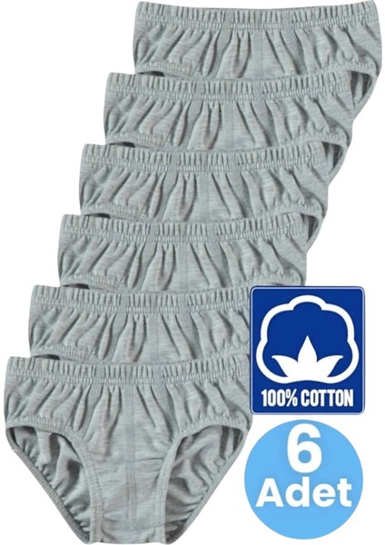 Erkek Çocuk Pamuklu 6'lı Gri Slip Külot modelleri