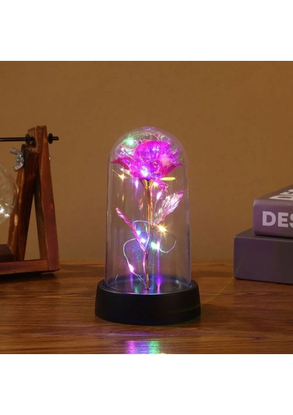 LED Işıklı Yapay Gül – Akrilik Kapaklı, Dekoratif ve Romantik Hediye, Sevgililer Günü, Anneler Günü ve Özel Günler Için Şık Tasarım, Çok Amaçlı Kullanım, Işıklı Ev ve Masa Dekoru modelleri