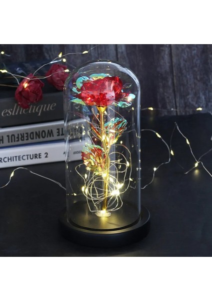 LED Işıklı Yapay Gül – Akrilik Kapaklı, Dekoratif ve Romantik Hediye, Sevgililer Günü, Anneler Günü ve Özel Günler Için Şık Tasarım, Çok Amaçlı Kullanım, Işıklı Ev ve Masa Dekoru fırsatları