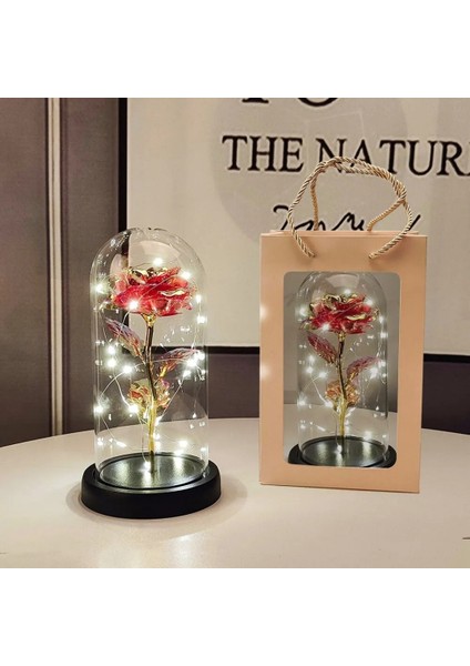 LED Işıklı Yapay Gül – Akrilik Kapaklı, Dekoratif ve Romantik Hediye, Sevgililer Günü, Anneler Günü ve Özel Günler Için Şık Tasarım, Çok Amaçlı Kullanım, Işıklı Ev ve Masa Dekoru indirimleri