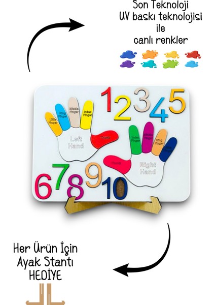 Parmak Puzzle, Rakam Puzzle, Eğitici Oyuncak, Montessori Eğitim Oyuncak, Motor Zeka Oyuncak