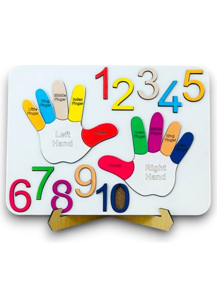 Parmak Puzzle, Rakam Puzzle, Eğitici Oyuncak, Montessori Eğitim Oyuncak, Motor Zeka Oyuncak