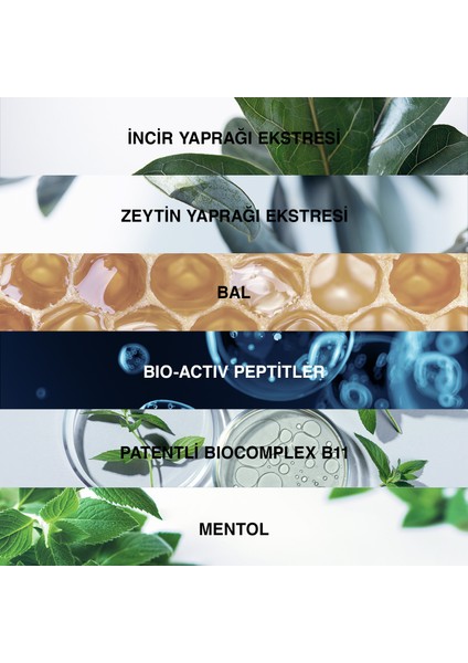 Genesis KuruNormal Saçlar İçin Şampuan 300 ml