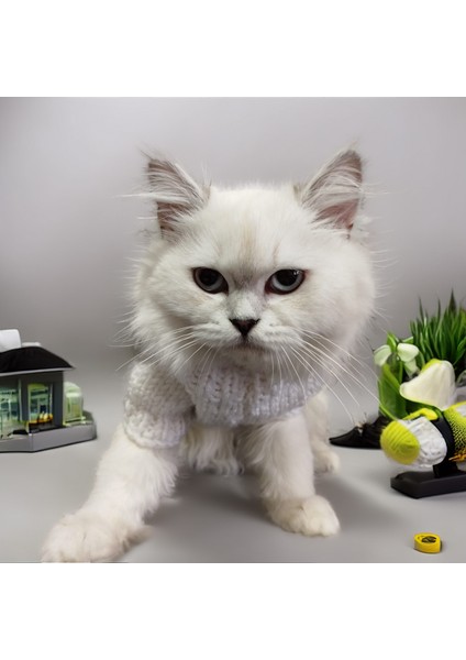 Kedi Köpek için Siyah Beyaz Yün Kazak