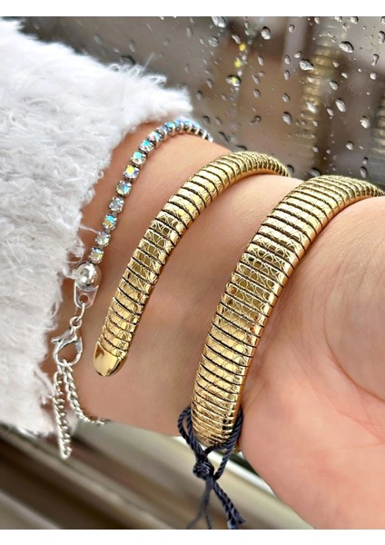 BP3747C.170 Yılan Model Kadın Kol Saati fiyatları