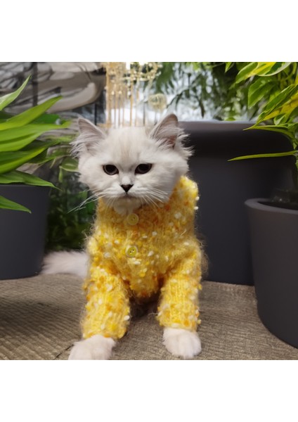Kedi Köpek için Boncuklu Kapüşonlu Sarı Hırka