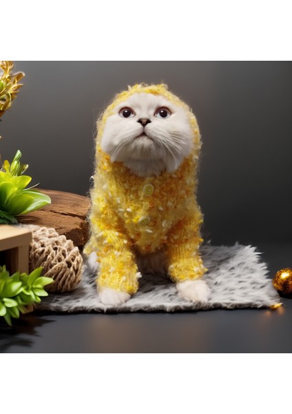 Kedi Köpek için Boncuklu Kapüşonlu Sarı Hırka