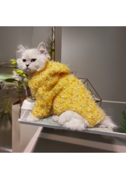 Kedi Köpek için Boncuklu Kapüşonlu Sarı Hırka
