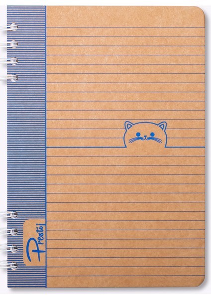 Kitty Kraft Çizgili Defter fiyatları