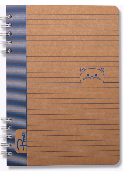 Kitty Kraft Çizgili Defter fiyatları