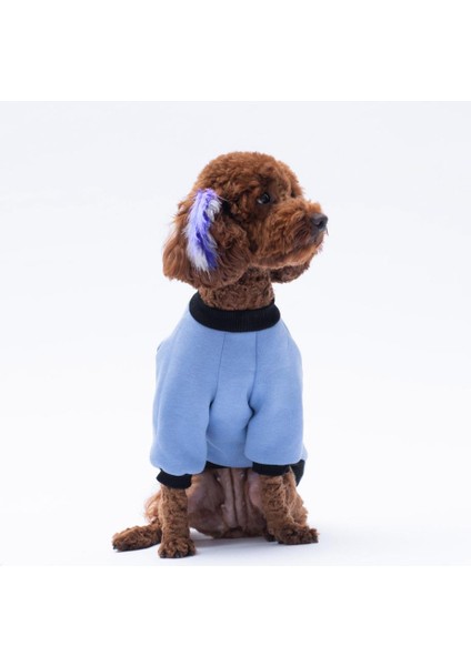 Mavi Loviisa Sweat Kedi Köpek Sweat- Kedi Köpek Kıyafeti modelleri