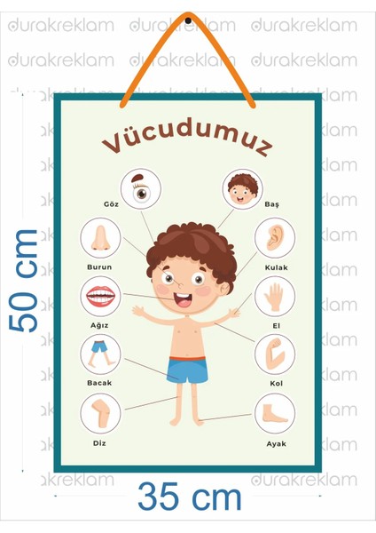 Vücudumuzu Tanıyalım Türkçe