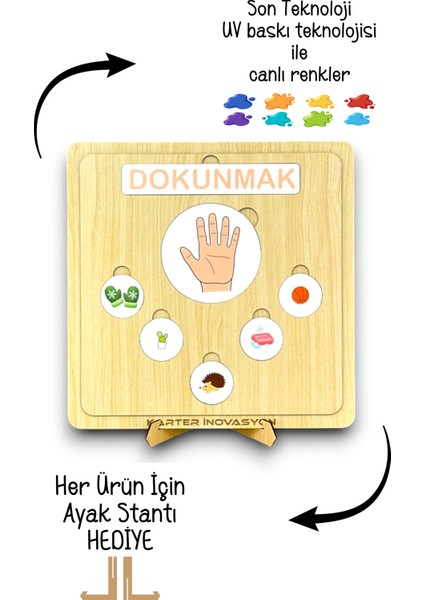 Duyularımızı Öğreniyorum modelleri