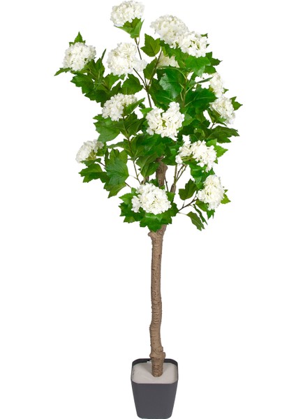 Yapay Ortanca Ağacı 16 Çiçekli Yeşil-Beyaz 122 cm .