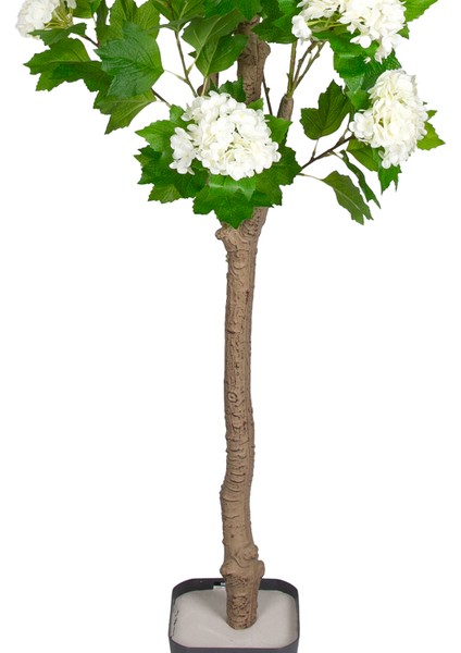 Yapay Ortanca Ağacı 16 Çiçekli Yeşil-Beyaz 122 cm . modelleri