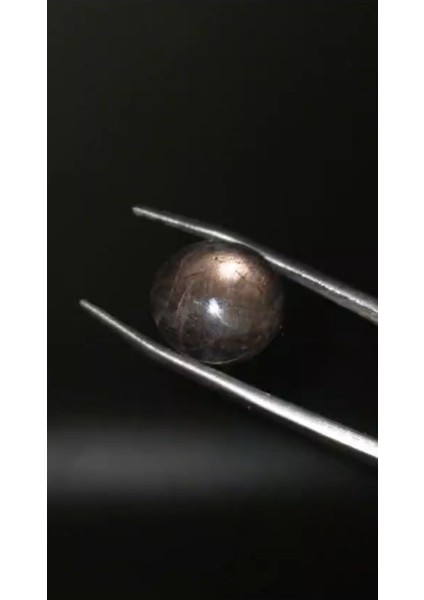 14.15 ct 14.2X13.2 mm Natural Star Sapphire