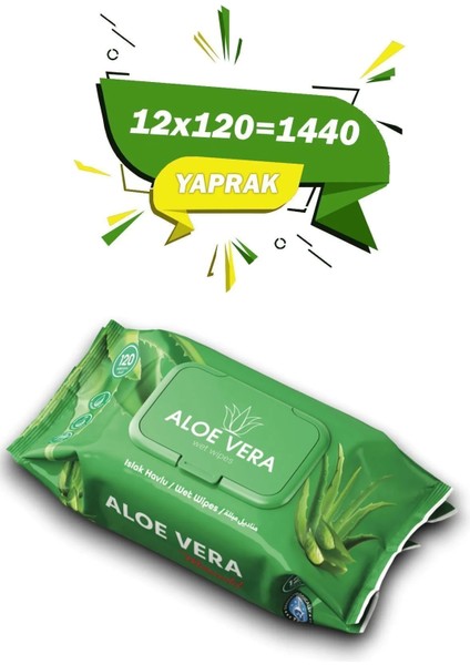 Hijyen Aloe Vera Katkılı Islak Mendil-Havlu 12x120'li (1440 Yaprak)