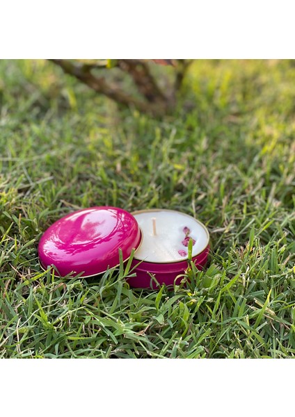 Amber Kokulu Fuşya Pembe Bonbon Soya Mum