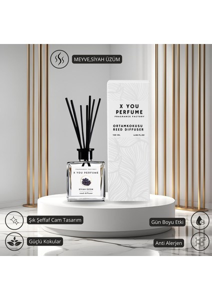 Siyah Üzüm Çubuklu Oda Kokusu 120 ml