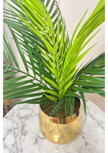 Yapay Çiçek Palmiye Areka Yapay Bitki Gold Metal Saksı Salon Çiçeği 9 Yaprak 50 cm