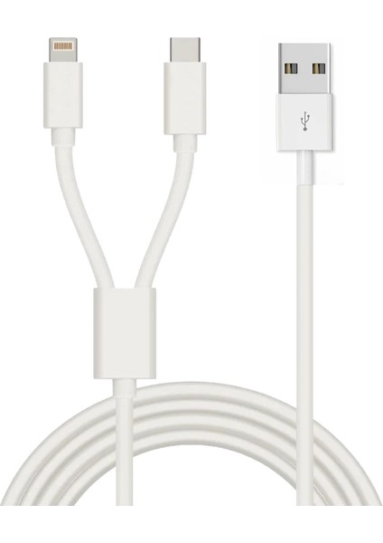 2in1 5A 120W Usba To Type-C ve Lightning Hızlı Data ve Şarj Kablosu 120CM SX21C