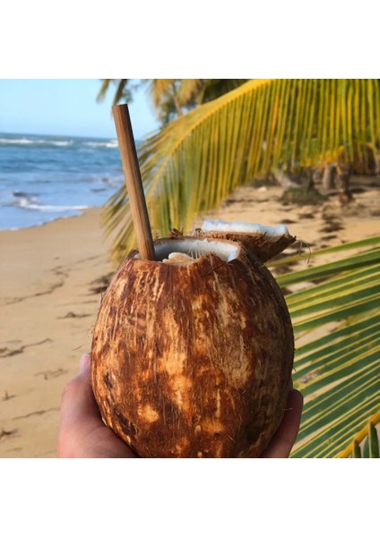 Lund London - Bamboo Straws - Set Of 8 x 8mm modelleri