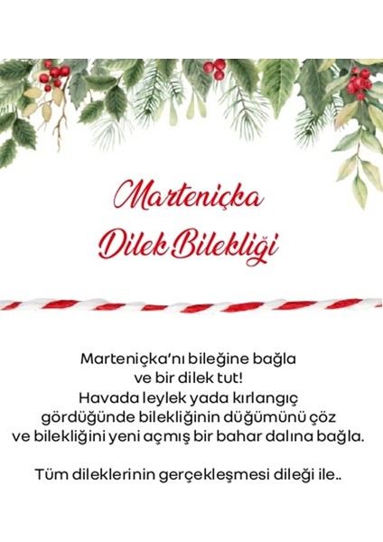 Marteniçka 20'li Set