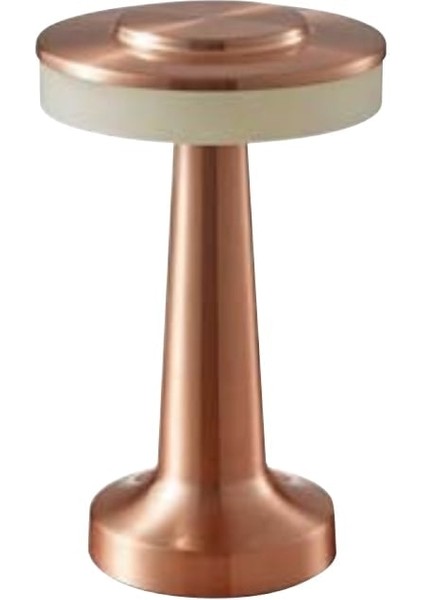 2 Adet 050-002-0001 Pronto 3cct Rose Gold 2W/5V Dimli Masa Lambası