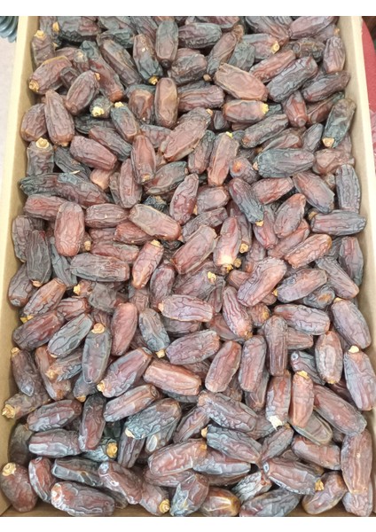 Toptan Jumbo Medine Mebrum Hurma 10 kg modelleri