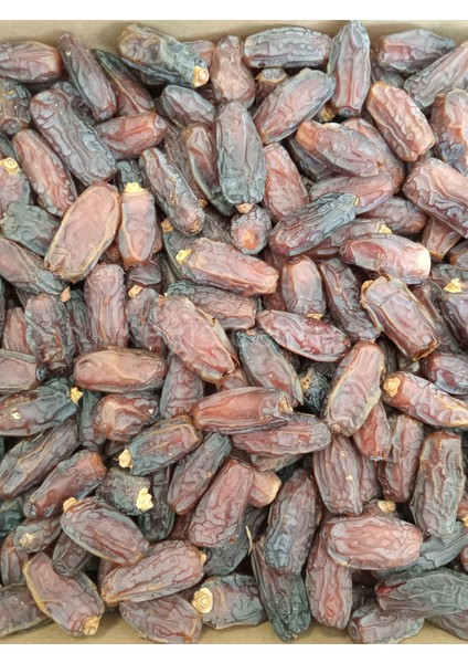 Toptan Jumbo Medine Mebrum Hurma 10 kg fırsatları