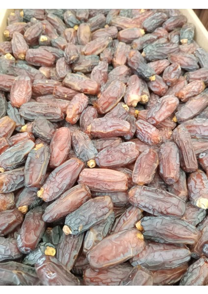 Toptan Jumbo Medine Mebrum Hurma 10 kg indirimleri