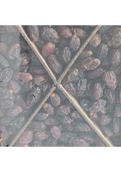 Toptan Kudüs Medjoul Small Hurma 10 kg fiyatları
