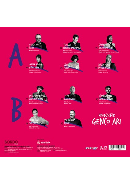 Çeşitli Sanatçılar - Genco Arı Prodüktör (Plak)