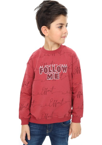 Erkek Çocuk Baskılı Sweatshirt fiyatları