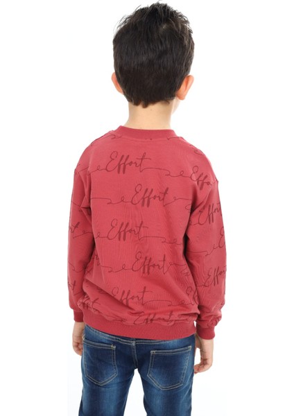 Erkek Çocuk Baskılı Sweatshirt fırsatları