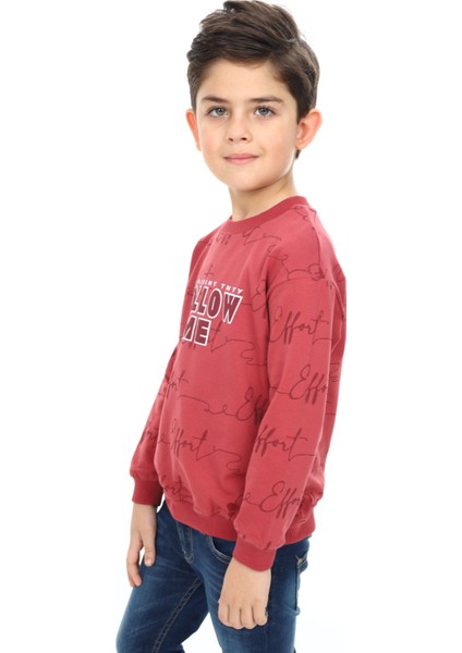 Erkek Çocuk Baskılı Sweatshirt indirimleri