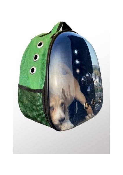 Deri Astronot Kedi ve Köpek Taşıma Çantası Yeşil Renk