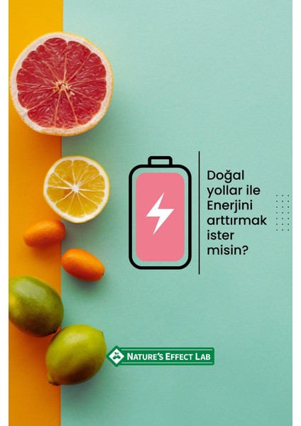Bitkisel Gıda Takviyesi Epimedyum 30 Kapsül Gınseng Enerji Sertlik