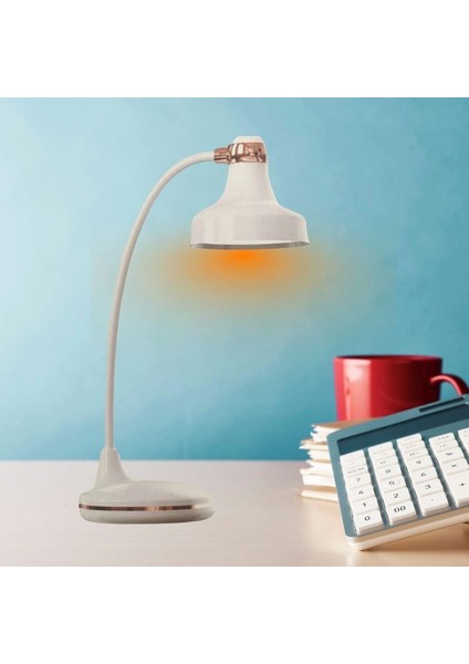 Dokunmatik 3 Farklı LED Işıklı Çalışma Masası Üstü Lamba (4172)