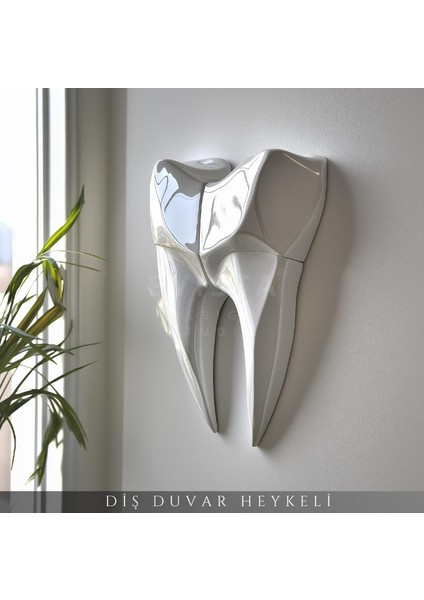 Diş Duvar Dekor Heykel Figür 2