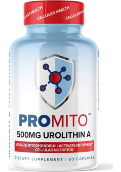 Promito 500 mg Urolithin A 60 Capsul