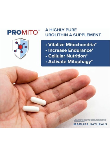 Promito 500 mg Urolithin A 60 Capsul