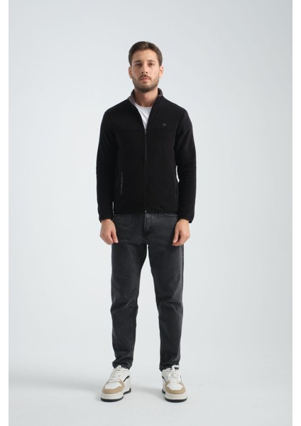 Premium Kışlık Erkek Polar Sweatshirt Minimal Nakış Detayları Fermuarlı Regular Fit fiyatları