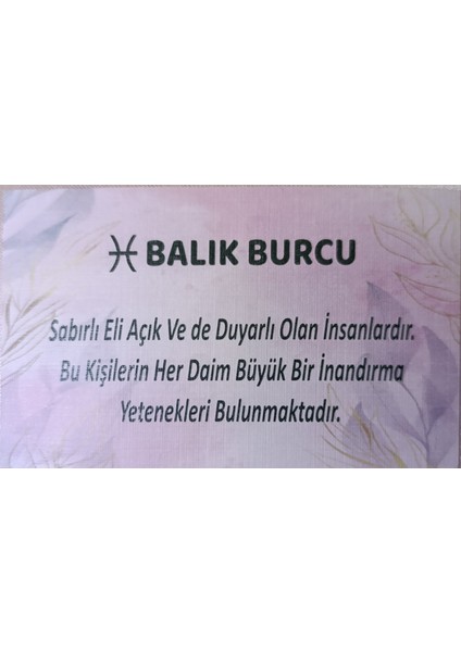 Balık Burcu Sembollü Pens Toka modelleri